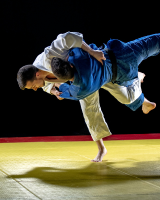 Grand Slam Judo 2025